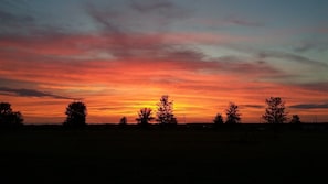Ein Sonnenuntergang über einer flachen Landschaft, mit Baumgruppen im Vordergrund und einem klaren Horizont.