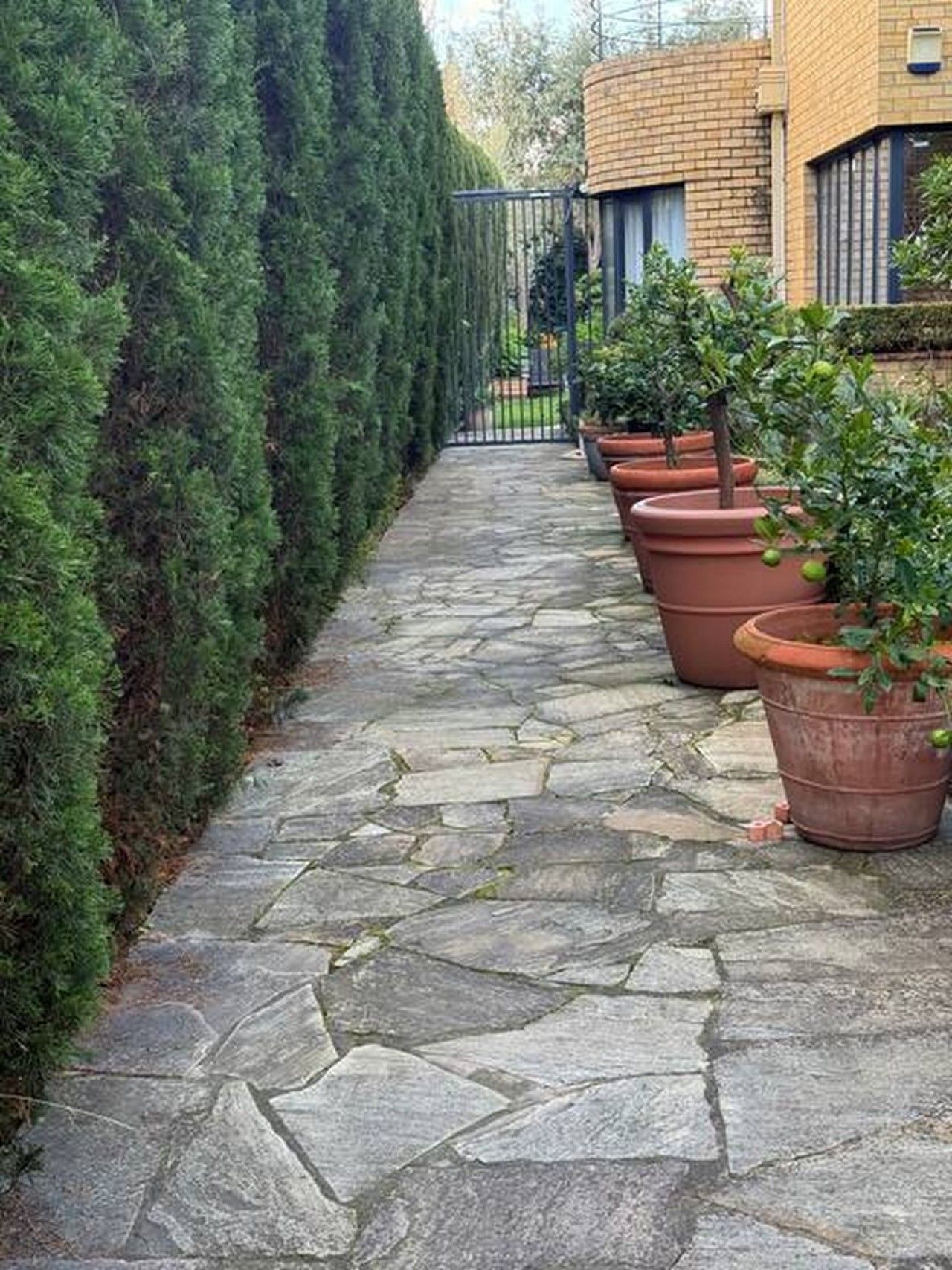 A stone pathway leading to a building with a brick facade, flanked by neatly trimmed hedges and potted plants.