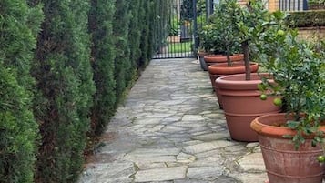 A stone pathway leading to a building with a brick facade, flanked by neatly trimmed hedges and potted plants.
