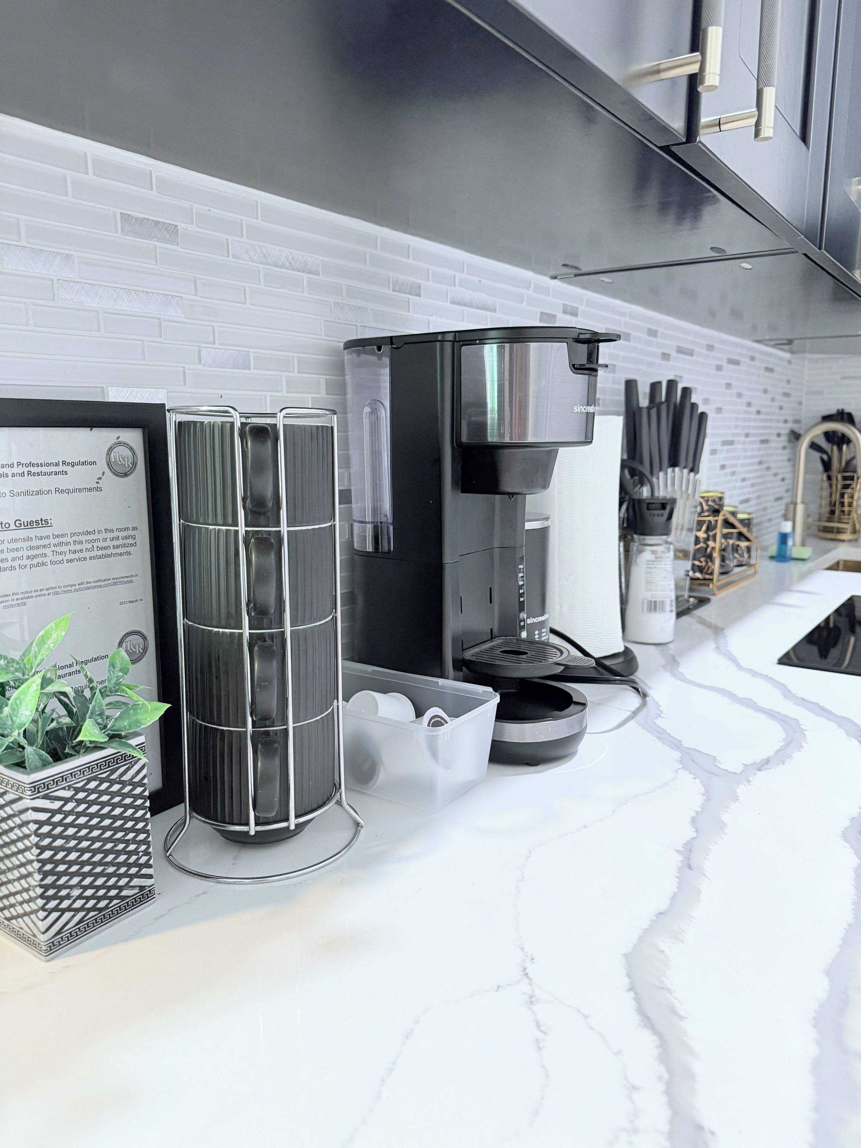 A modern kitchen with a coffee machine, a glass container, and a potted plant.
