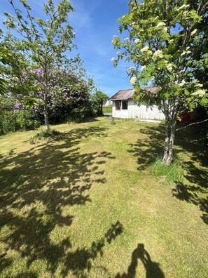 A grassy yard with a small white building, surrounded by trees with green foliage and some with white flowers. - Lovely holiday home for peace and nature (Gudhjem)