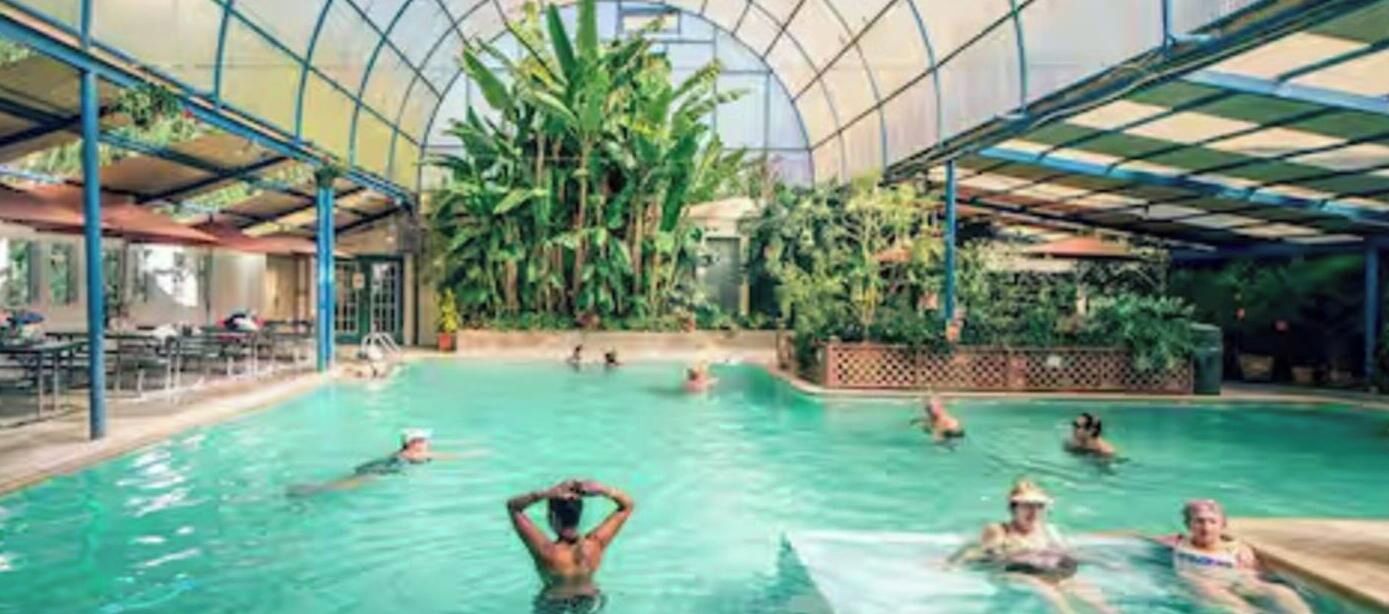 Una piscina interna con tetto in vetro, circondata da rigogliosa vegetazione.