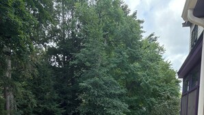 Eine Holzterrasse mit Pool, Gartenmöbeln und Blick auf ein bewaldetes Gebiet.
