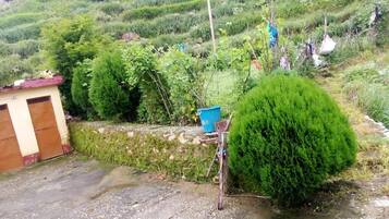 Paisaje rural con campos en terrazas, un cobertizo pequeño y un arbusto bien cuidado.