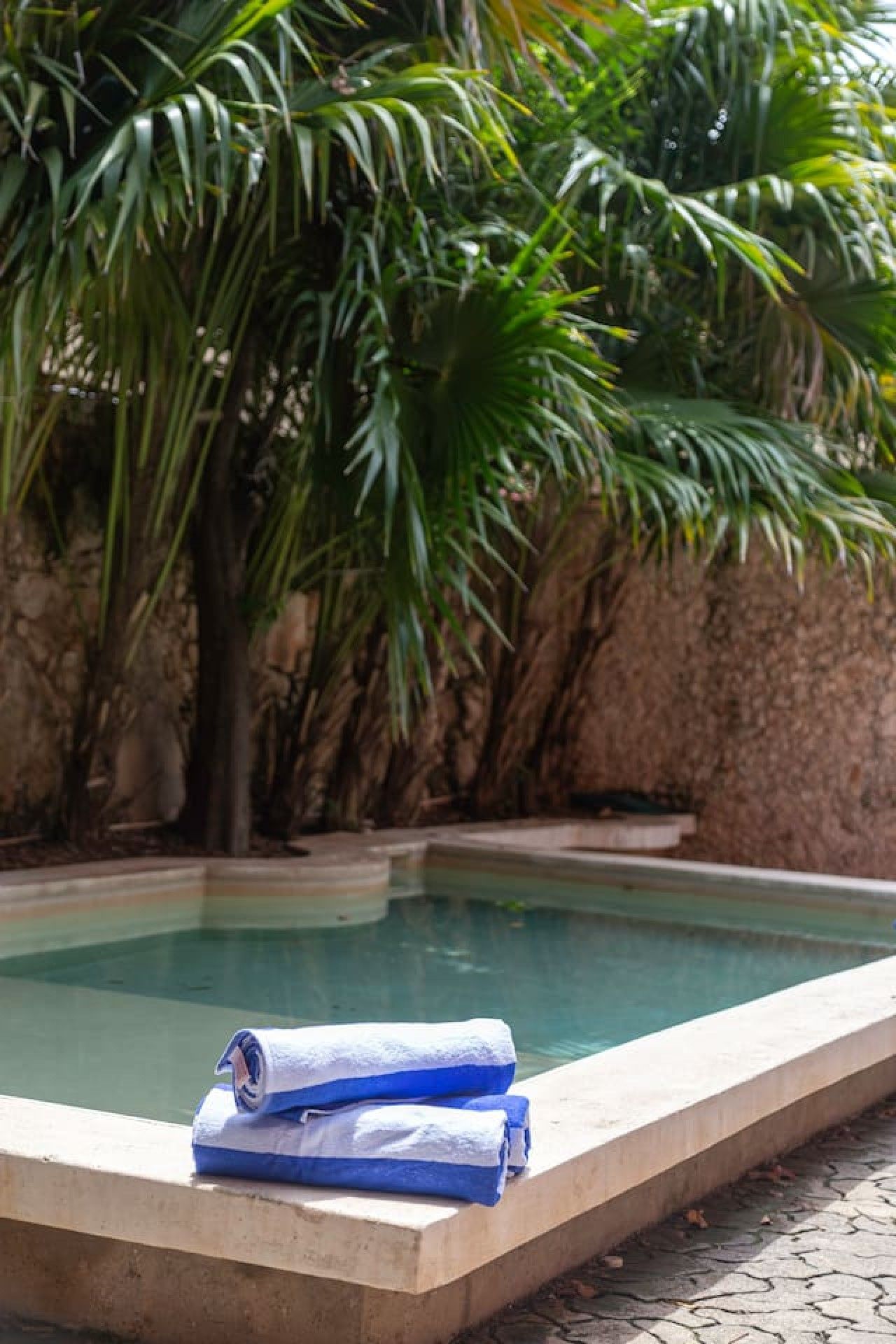 Una piscina con un muro de piedra y palmeras al fondo.