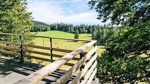 A wooden deck with a metal railing overlooking a green field and forested area. - Les Fougères by Interhome (Champoz)
