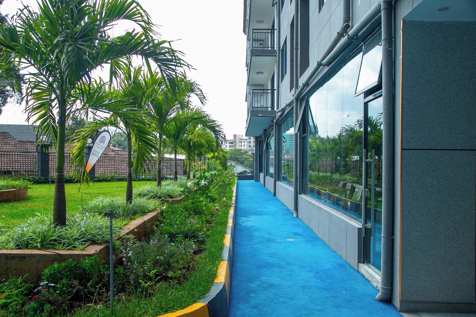 Un pasillo con alfombra azul, rodeado de follaje y palmeras, que conduce a un edificio con grandes ventanales.