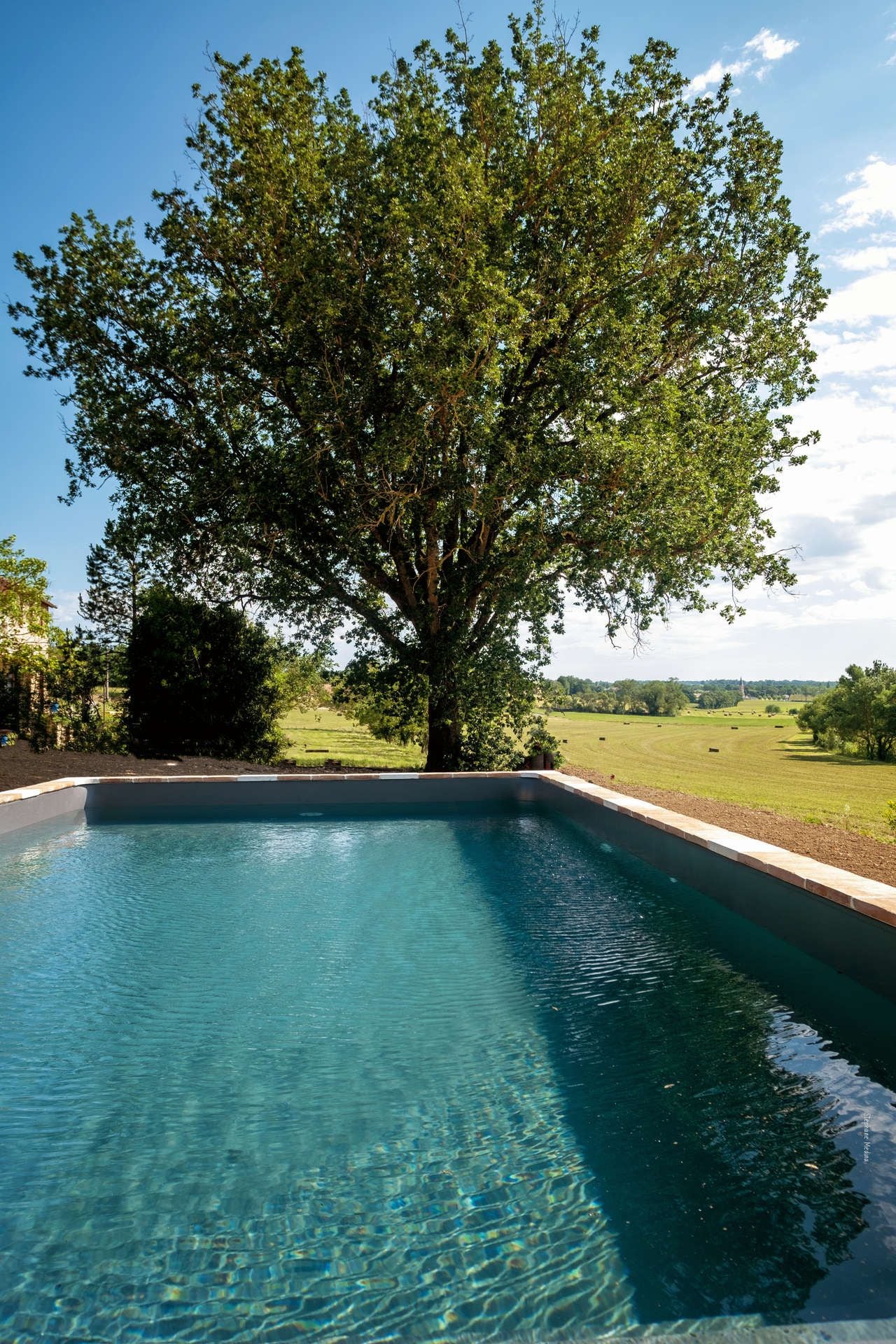 A swimming pool with clear blue water, surrounded by a landscaped garden and a large tree.