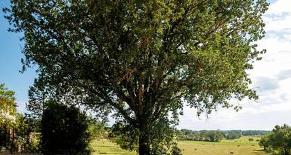 Bastide Remence - Picturesque country estate with pool – 26 guests