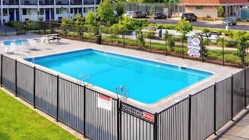 A rectangular swimming pool with a black fence, surrounded by a grassy area and a building with multiple windows in the background.