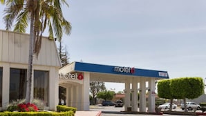 Un motel doté d’un parking couvert, de palmiers et offrant une vue sur un ciel dégagé.