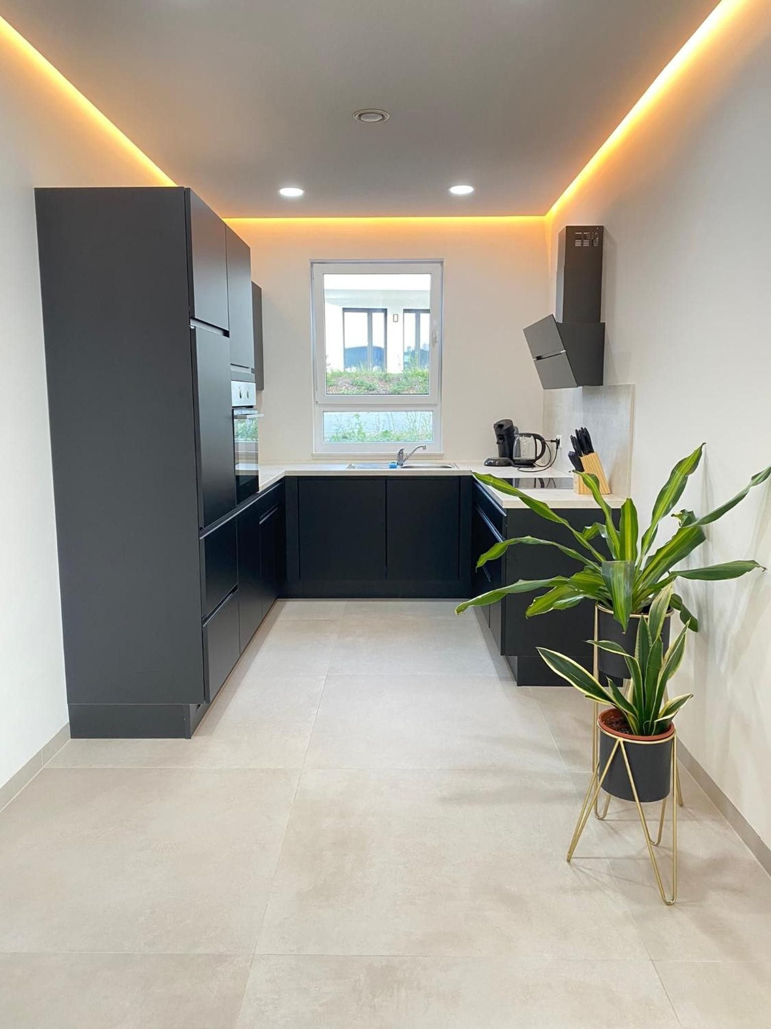 A modern kitchen with dark cabinetry, a window, and a potted plant.