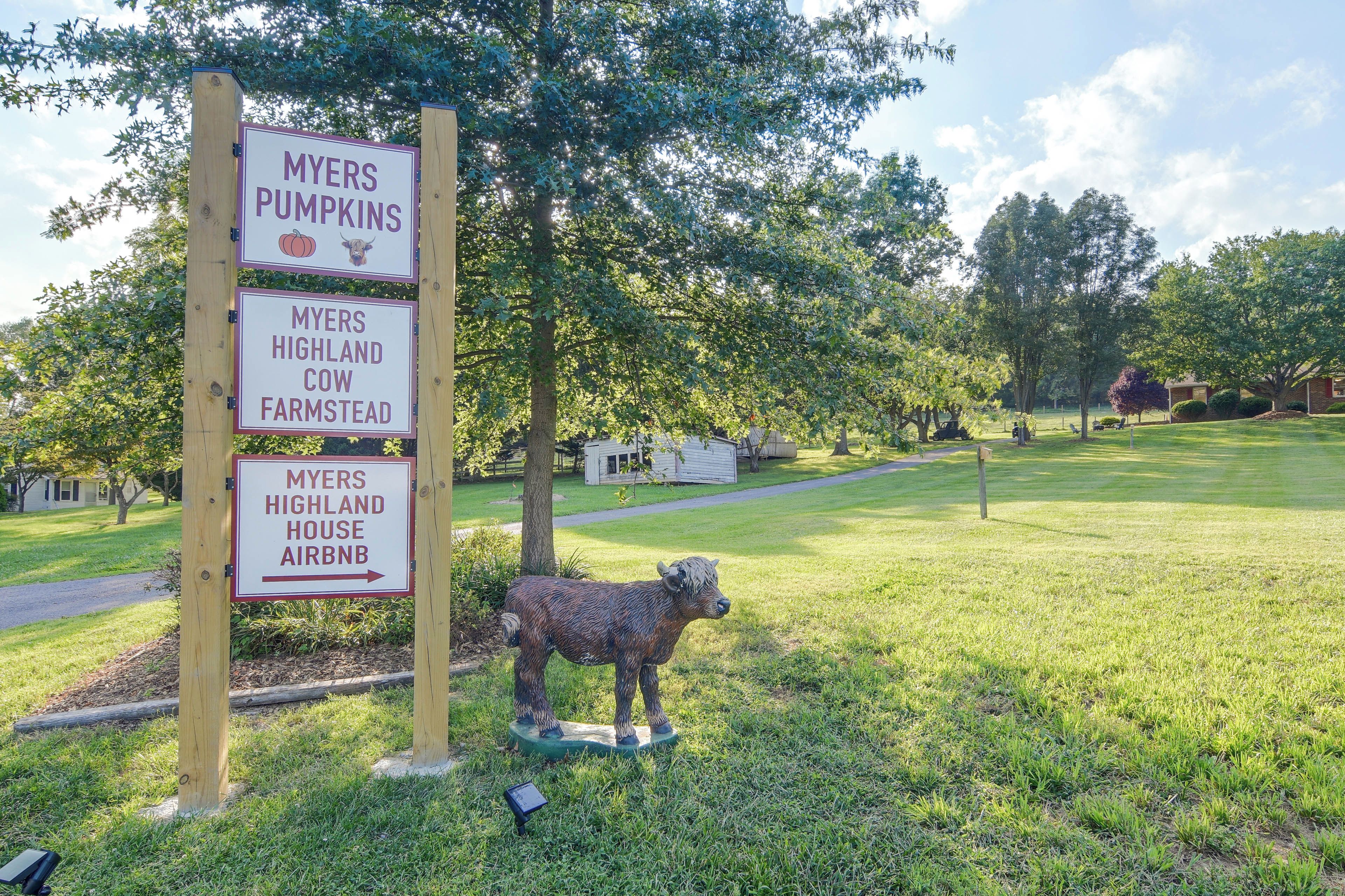 Un panneau indicateur indiquant la direction vers « Myers Pumpkins », « Highland Cow Farmstead » et « Highland House Airbnb ».