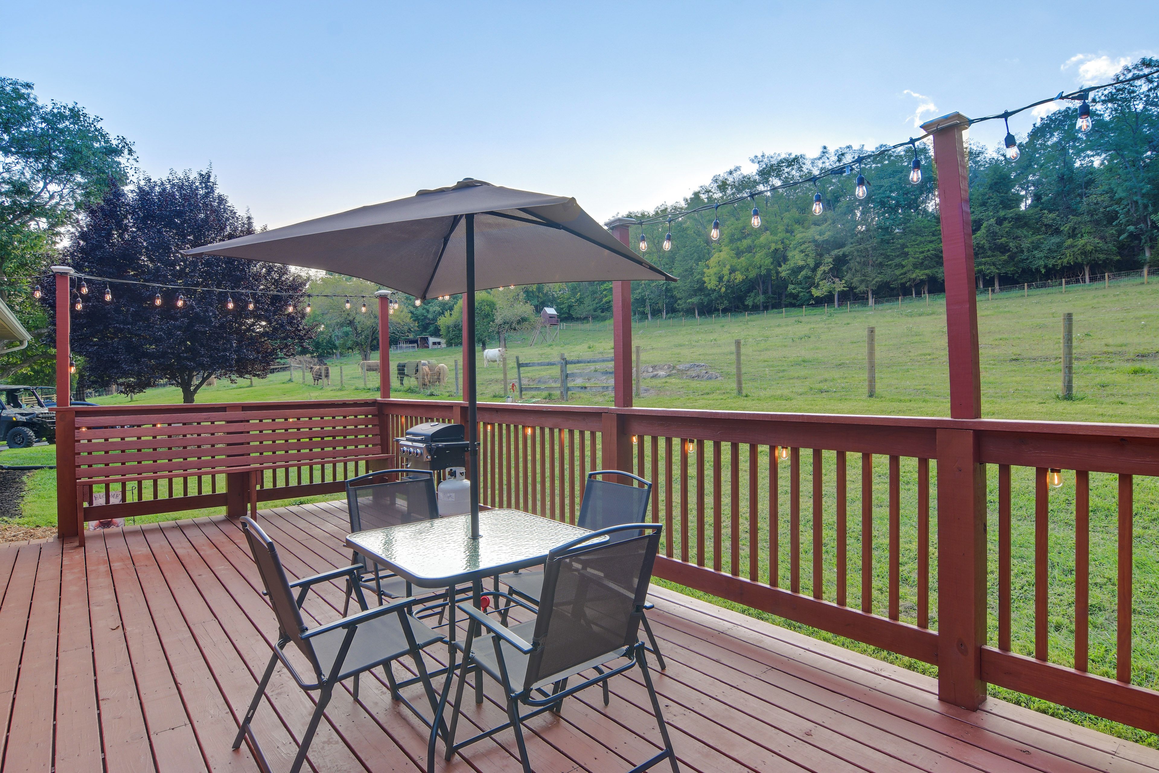 Een houten terras met een tafel, stoelen, een barbecue en sfeerverlichting.