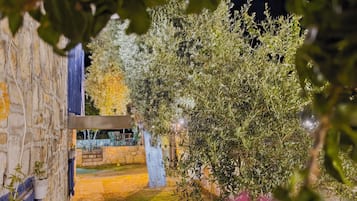 A stone pathway leading to a building with a blue door, surrounded by greenery and a night sky.