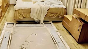 Ein Schlafzimmer mit Bett, Deckenleuchte, Pflanze und Kleiderschrank.