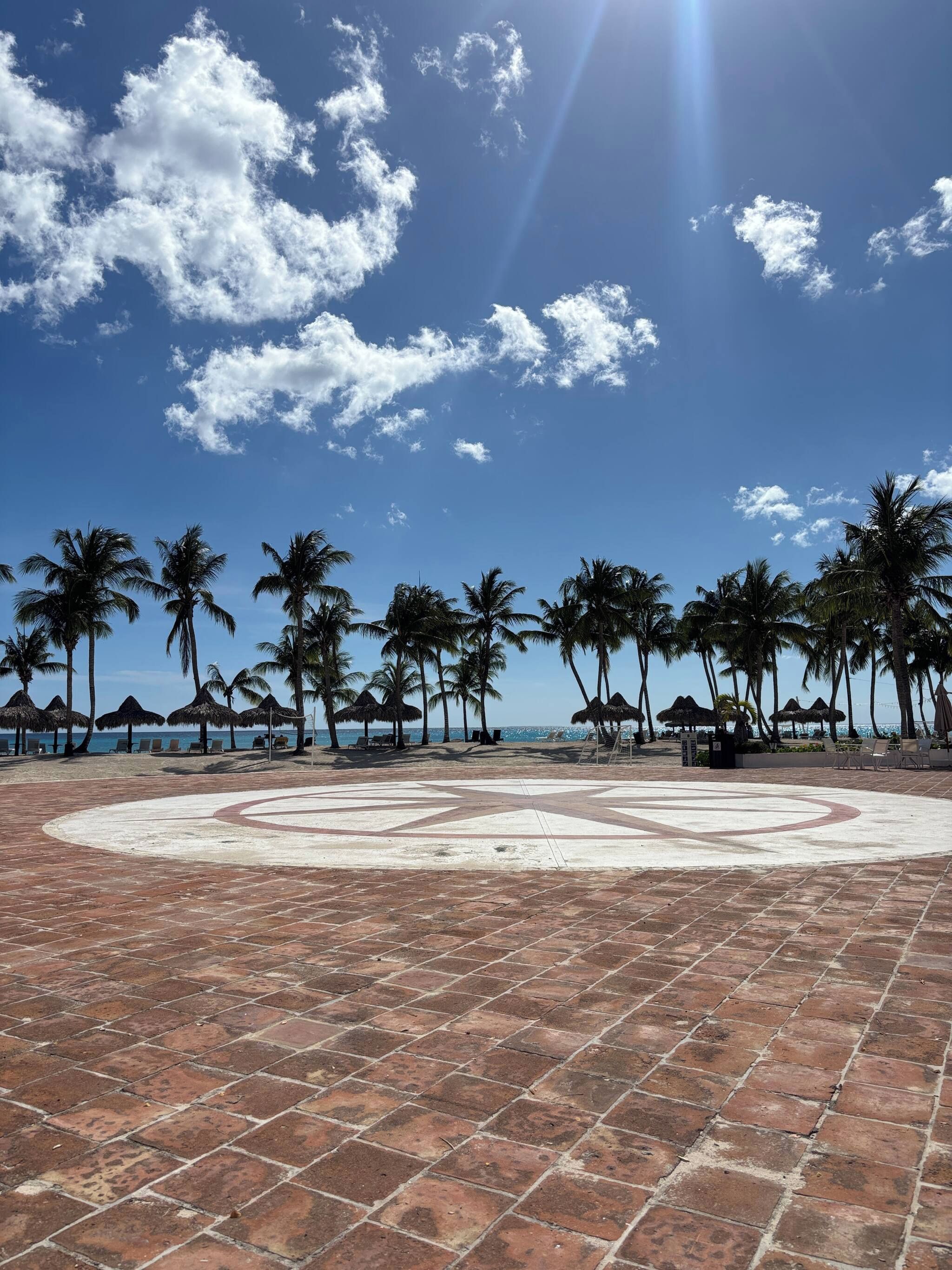 Un área pavimentada con palmeras y sillas de playa, que da hacia el océano.