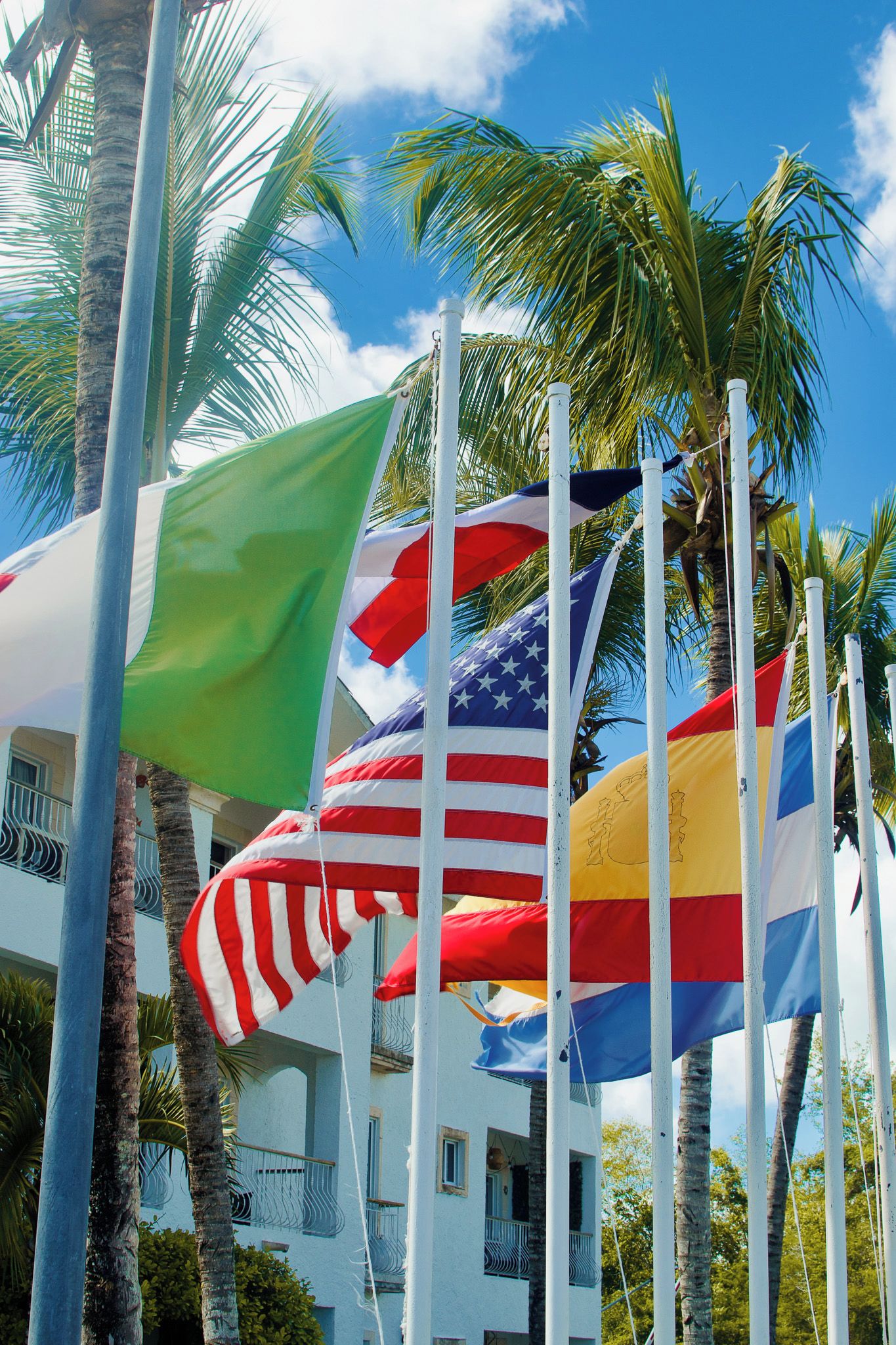 A building with multiple flags, including the American flag, and palm trees in the background.