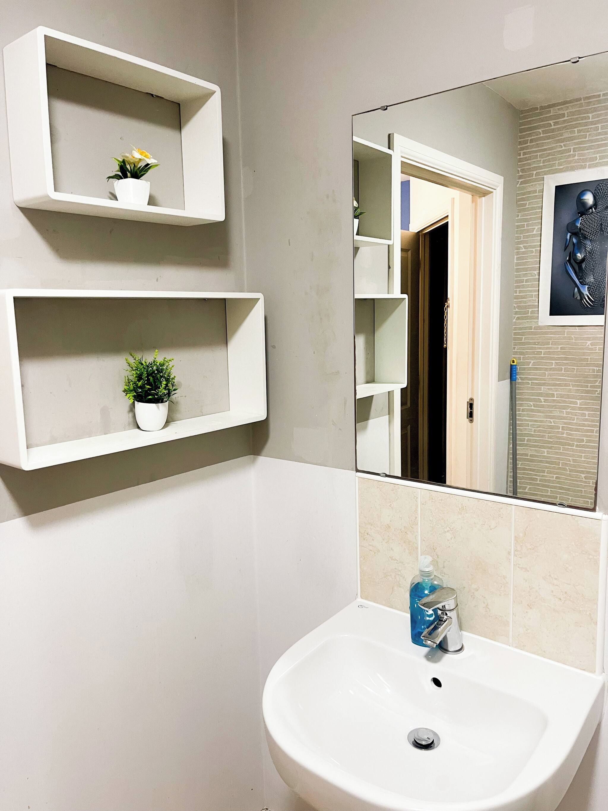 A bathroom with a white sink, two white shelves with plants, a mirror, and a door leading to another room.