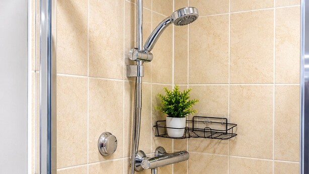 Eine Duschkabine mit Handbrause, am Wand montiertem Wasserhahn und einer kleinen Ablage mit einer Pflanze.