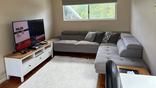 Una sala de estar moderna con un sofá gris, un televisor sobre un mueble de madera, una ventana con vista a árboles y un equipo de aire acondicionado en la pared.