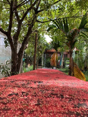 A pathway covered with red petals leading to a building with a red roof.