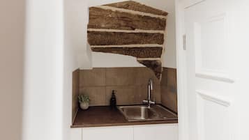 Cozinha com um revestimento de pedra diferenciado, uma pia de aço inoxidável e uma planta em vaso.