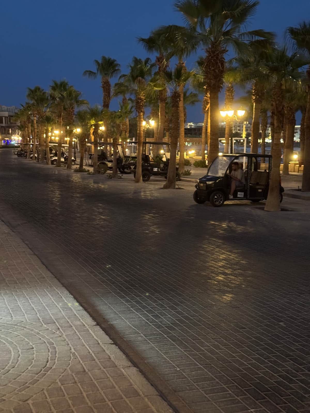 Une promenade dallée, bordée de palmiers et d’éclairages publics, avec des véhicules garés le long du bord.