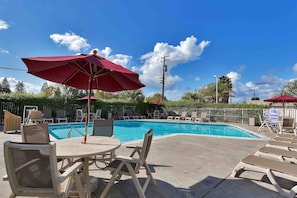 A swimming pool with lounge chairs and umbrellas, surrounded by a fence and greenery. - 1 Queen Bed|Non-Smoking,Mini Fridge (Santa Rosa CA)