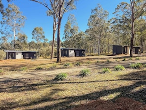 A rural property with three cabins, surrounded by trees and open land. - Villa 3 @ North Peak - A cute cabin for two (Pokolbin)