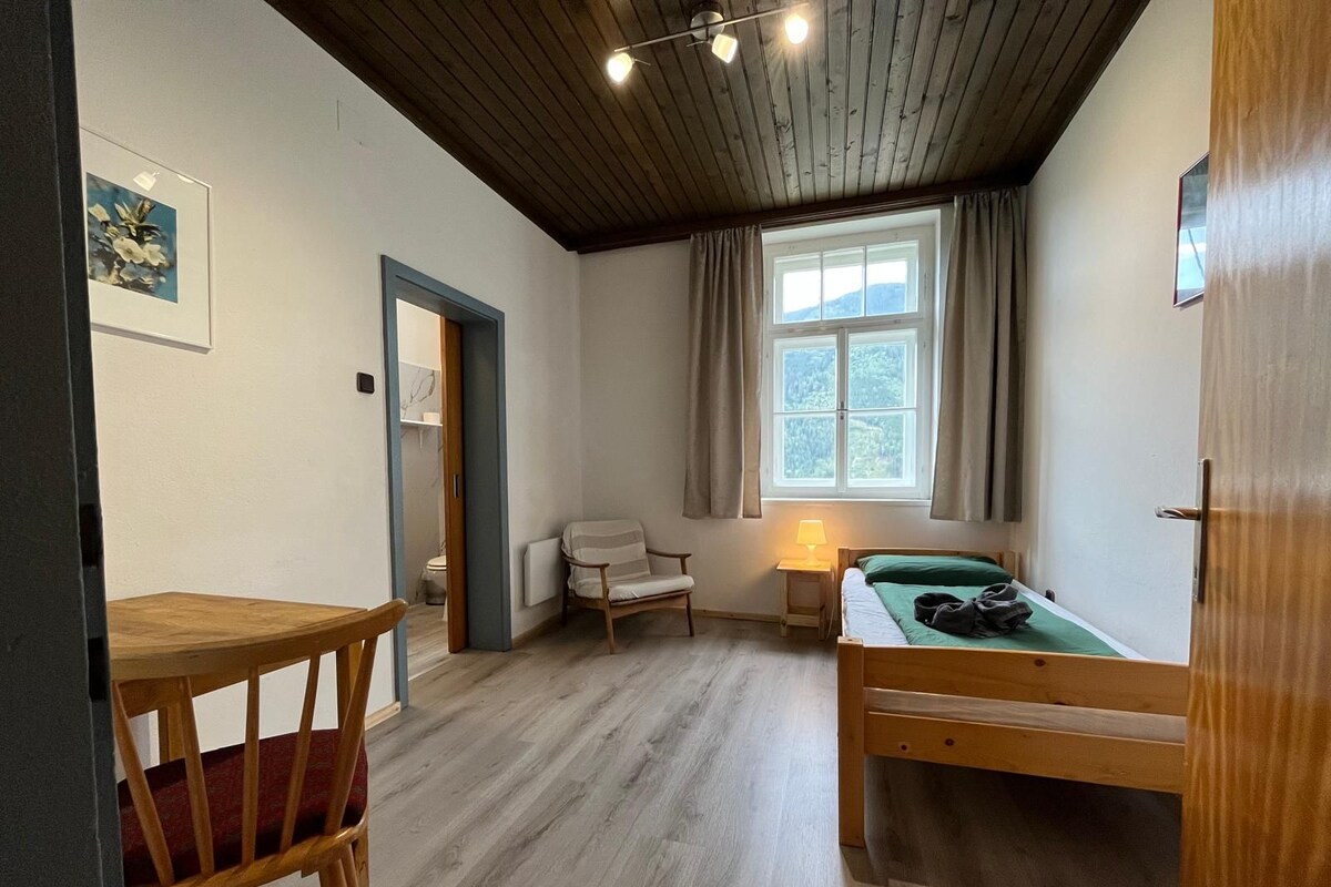 Einzelzimmer, Bergblick | Kostenloses WLAN