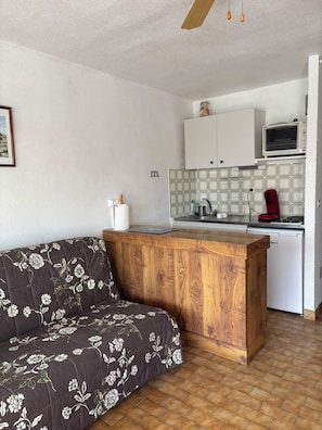 Ein gemütlicher Wohnraum mit einer Couch, einer Küchenarbeitsplatte aus Holz und einer Mikrowelle.