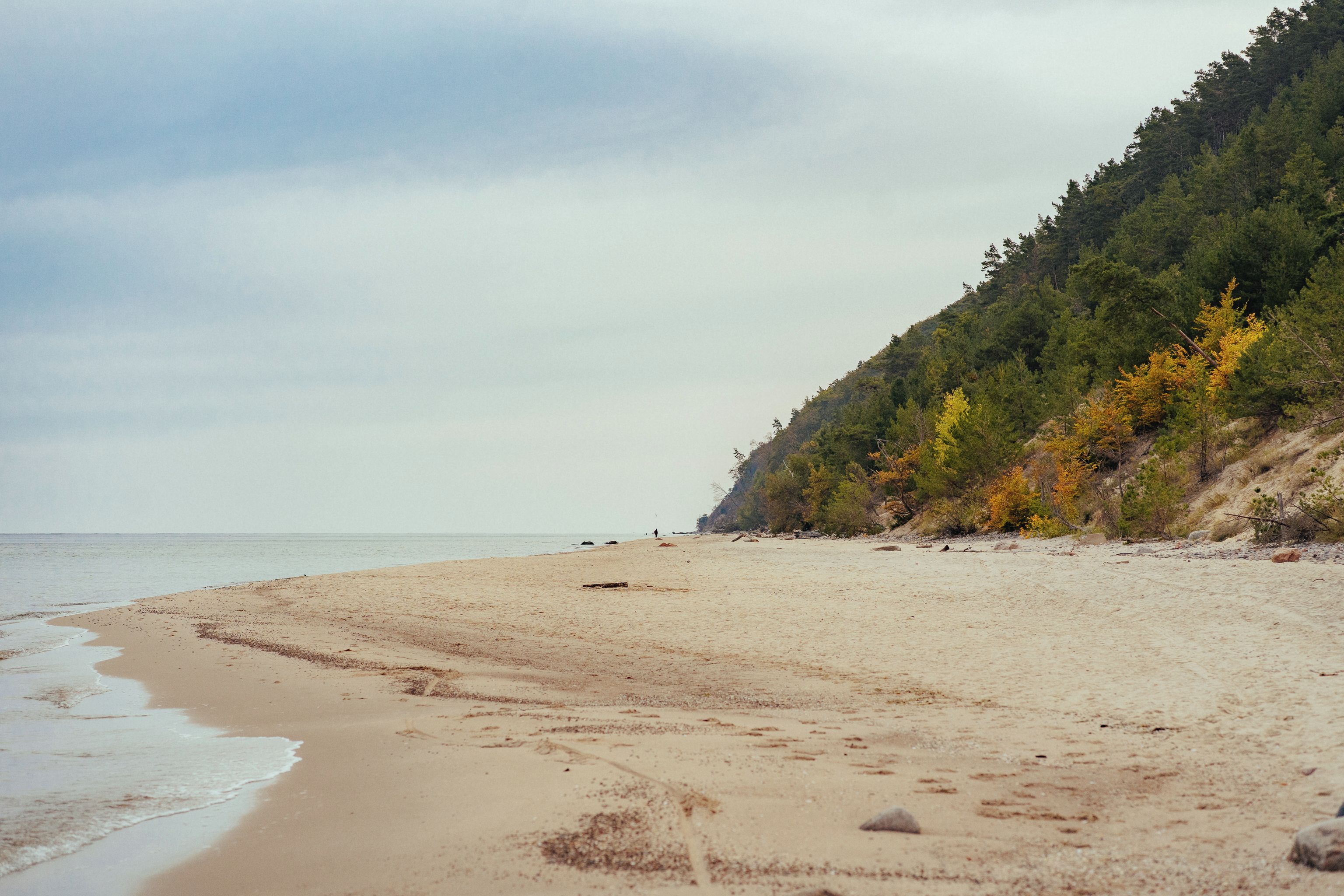 Ein Strand mit einem bewaldeten Hügel im Hintergrund.