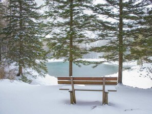 A bench in a snowy forest with a lake in the background.