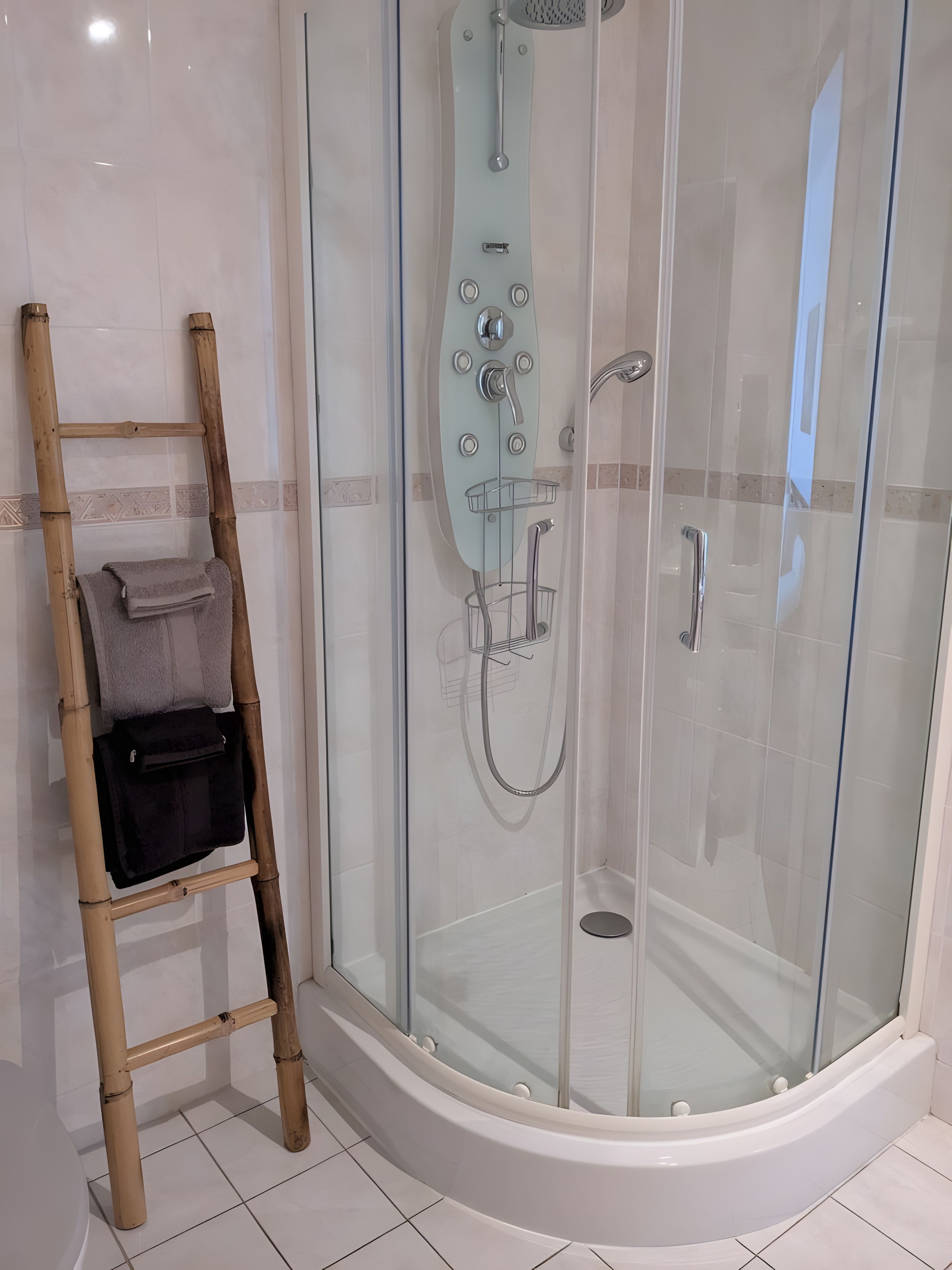 A glass-enclosed shower stall with a handheld showerhead, a glass-enclosed bathtub, and a bamboo ladder with towels.