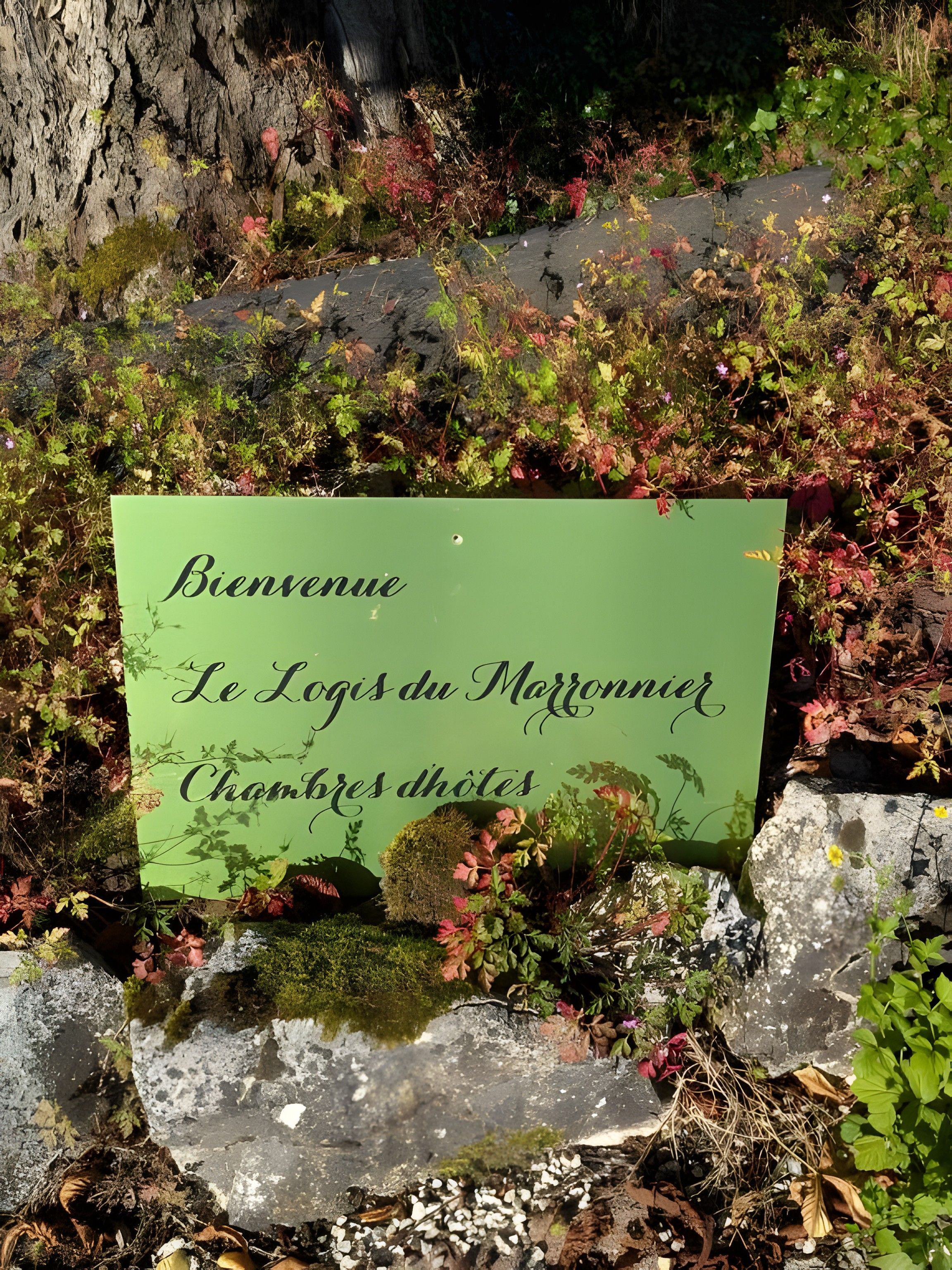A welcome sign with text in a foreign language, surrounded by natural vegetation and rocks.
