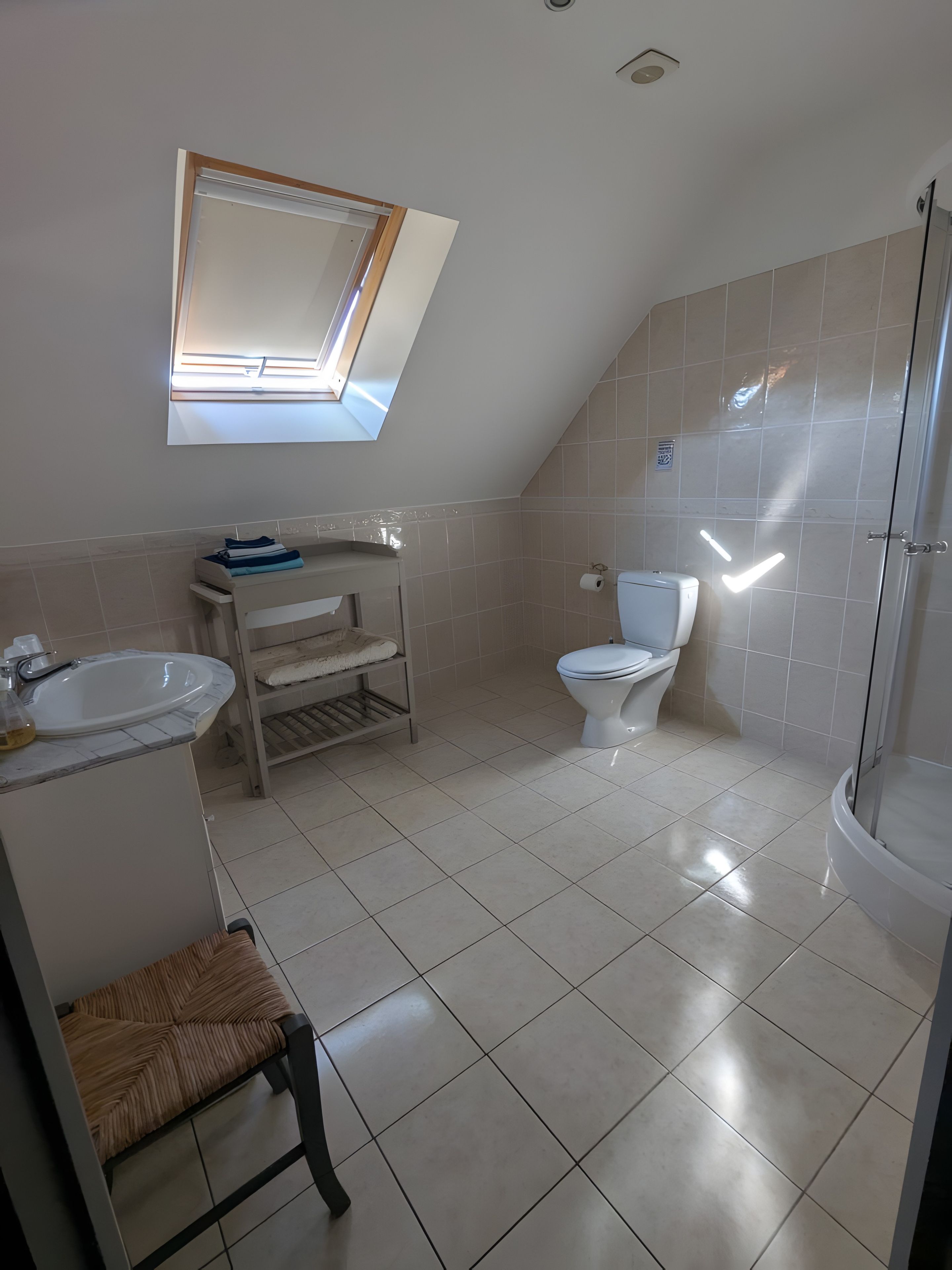 Une salle de bain avec un puits de lumière, des toilettes, un lavabo et une douche.
