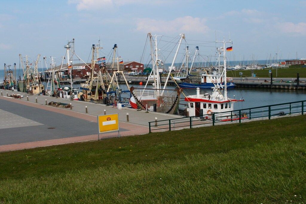 Un port où sont amarrés de nombreux bateaux de pêche, un petit bateau blanc avec un toit rouge et un drapeau allemand.