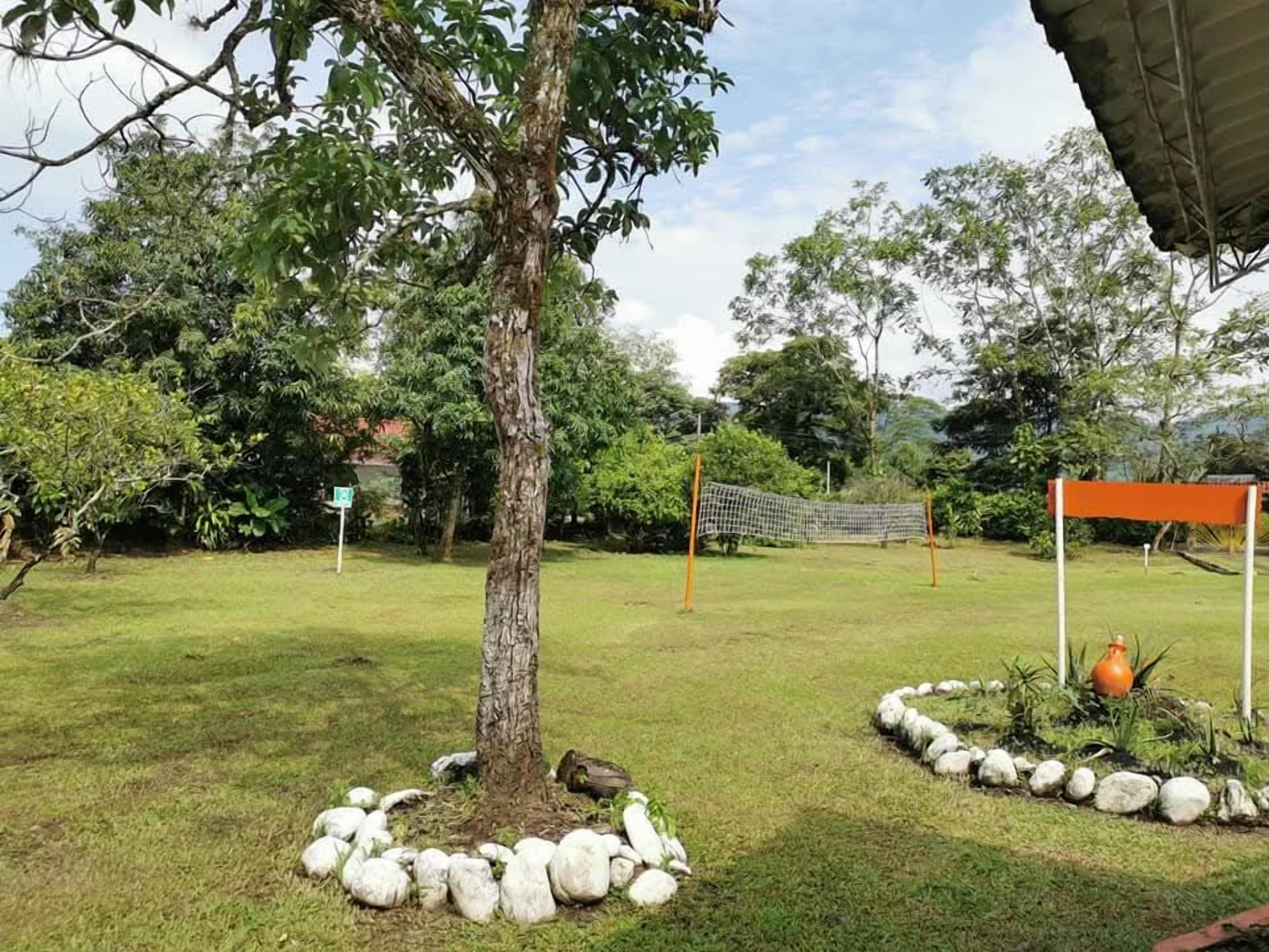 Un espace extérieur verdoyant avec un arbre, un filet de volley-ball et un petit jardin agrémenté de rochers et d’un pot de fleurs.