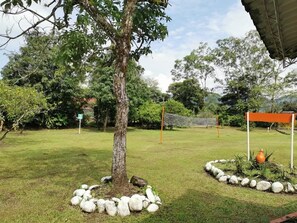 A grassy outdoor area with a tree, a volleyball net, and a small garden with rocks and a pot.