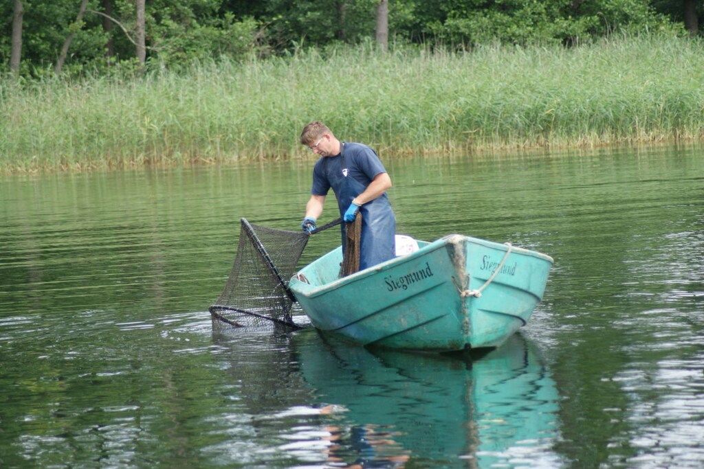 Eine Person in einem Boot mit einem Netz auf dem Wasser.