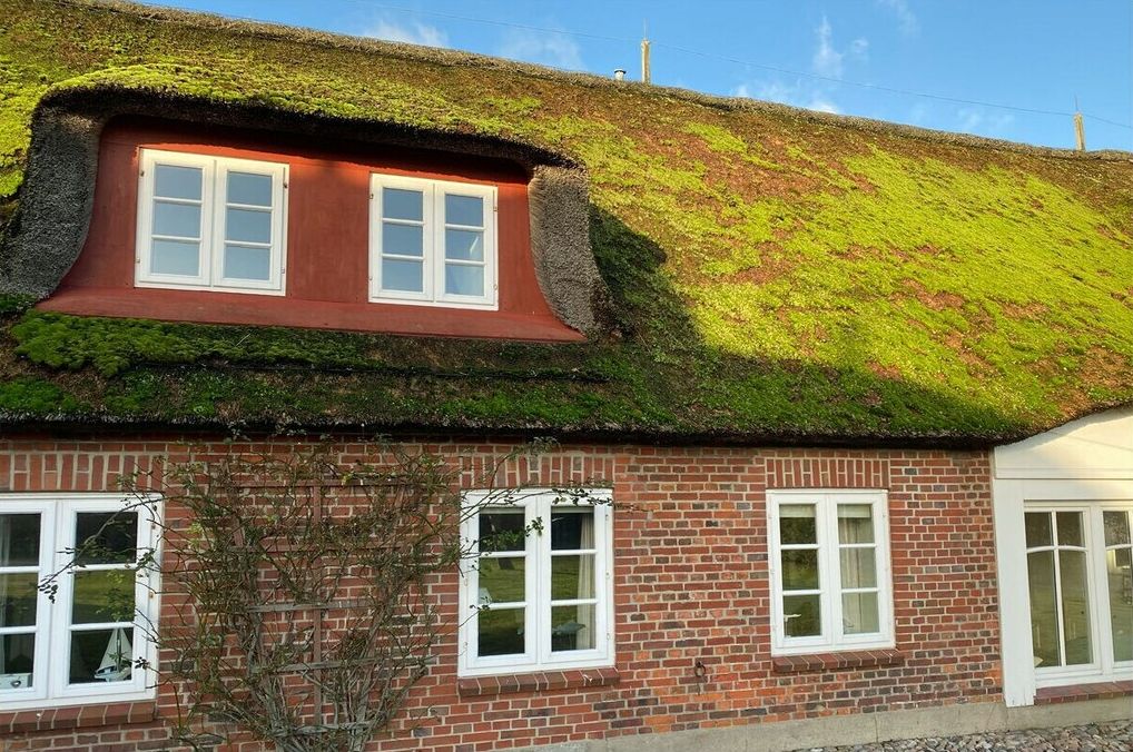 A red brick building with a thatched roof covered in green moss, white-framed windows, and a brick chimney.