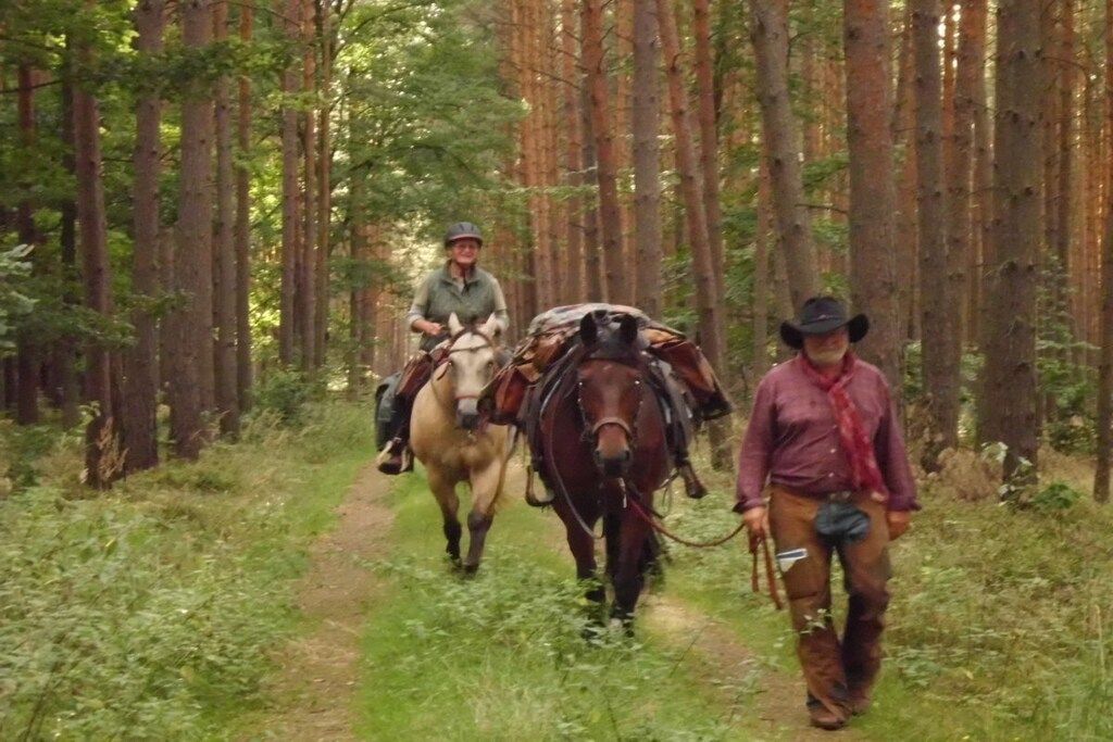 Zwei Personen führen Pferde auf einem Waldweg.