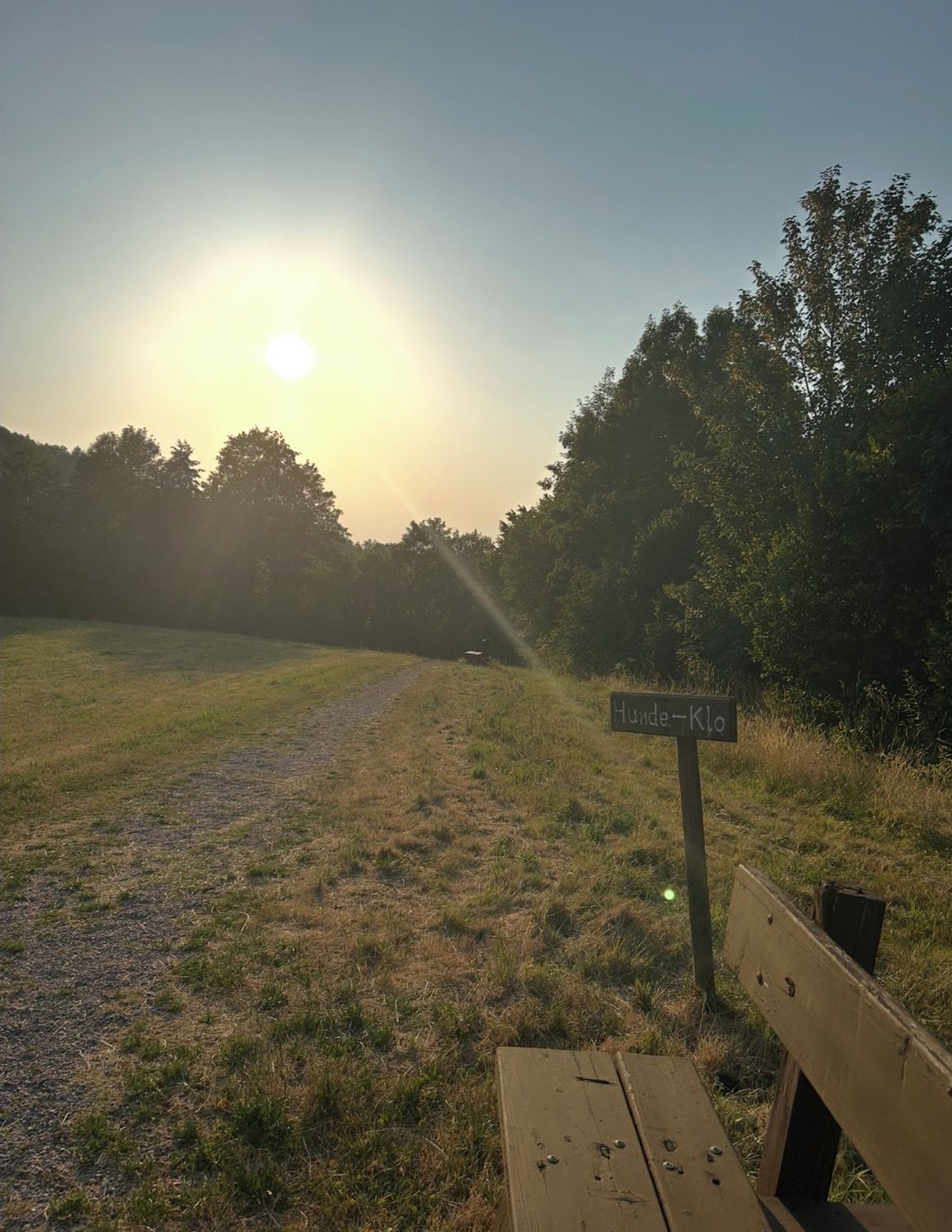 Eine Bank und ein Wegweiser in einem grasbewachsen Feld, im Hintergrund Bäume.