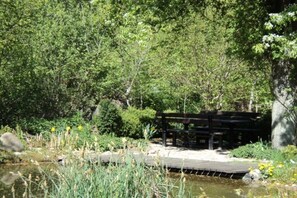 A wooden bridge over a pond with dense greenery and a bench. - Holiday apartment with 2 bedrooms (Schönwalde a.B.)