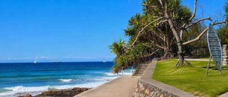 A coastal walkway with a view of the ocean, a palm tree, and a signboard.