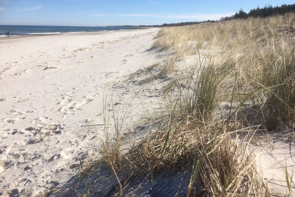 Een zandstrand met duinen en een heldere lucht.