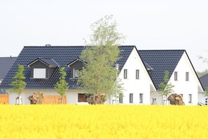 Een rij witte huizen met donkere daken, omgeven door een veld gele bloemen.