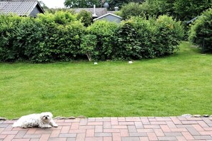 A dog lying on a brick patio with a well-maintained lawn and dense hedges in the background. - Holiday home in Damp with swimming pool (Damp)