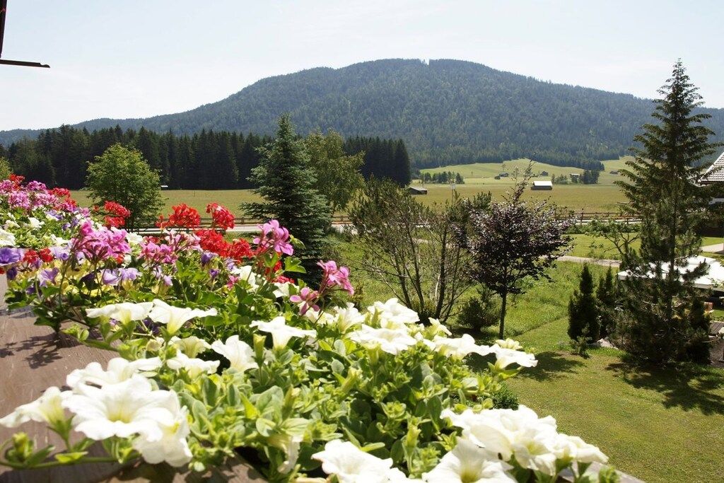 A garden with a variety of flowers in the foreground and a mountain in the background.